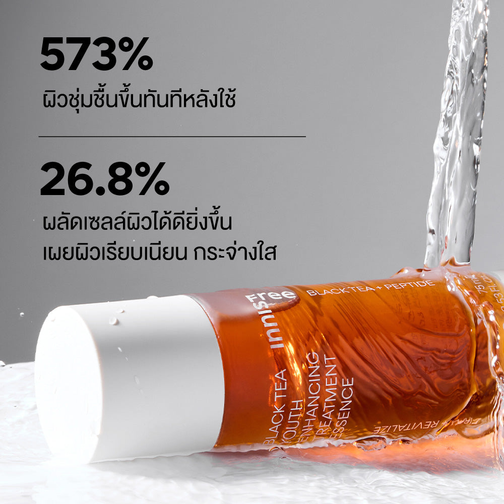 Black Tea Youth Enhancing Treatment Essence 145ml innisfree Thailand