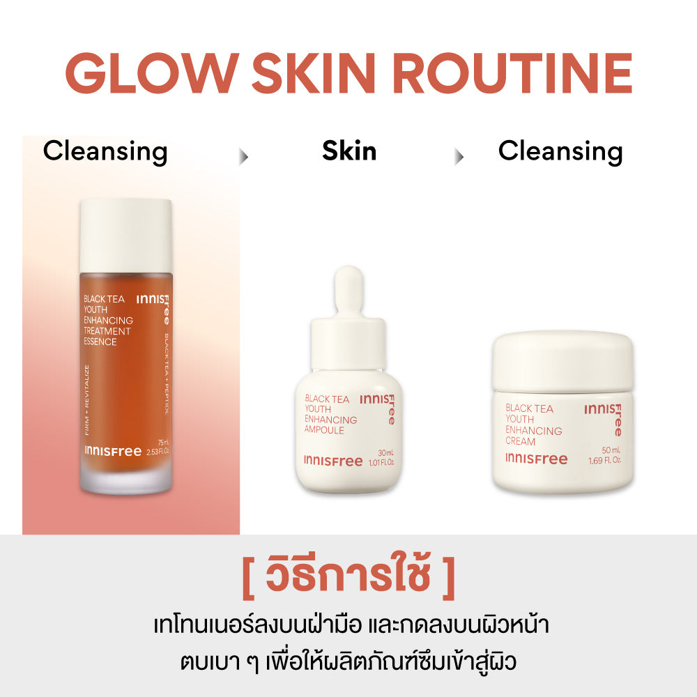 Black Tea Youth Enhancing Treatment Essence 145ml innisfree Thailand