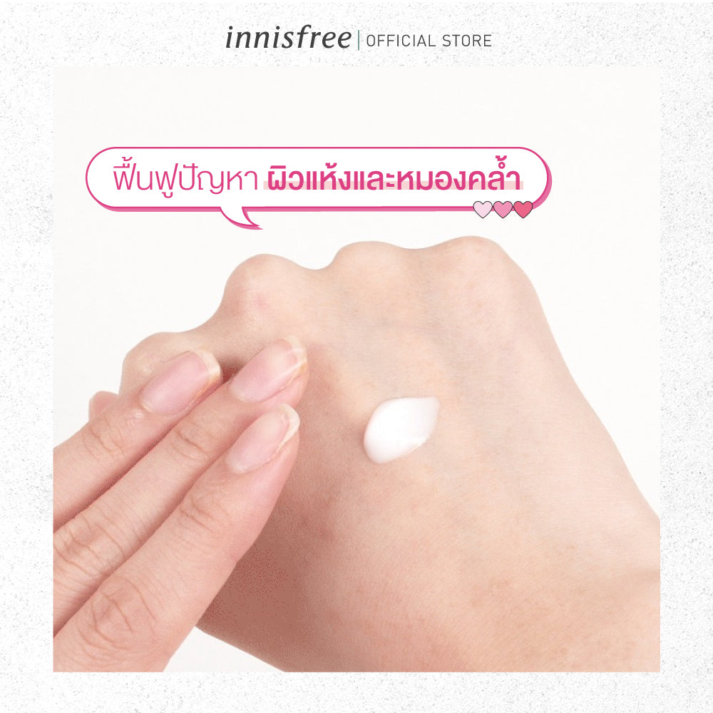 Jeju Cherry Blossom Lotion 100ml innisfree Thailand
